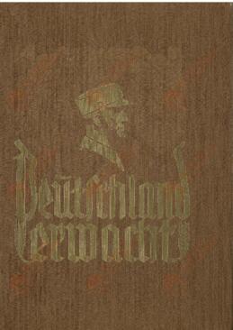 "Alemania Despierta". Postales de cigarrillos mostrando líderes partido nazi, panorámicas del Rally de Nüremberg de 1933, etc. Por Bahrenfeld