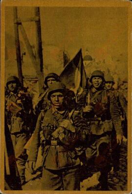 Conjunto de 8 postales fotográficas. Colección denominada "La cruzada europea contra el bolchevismo". División Azul.