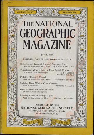 Open original Digital object