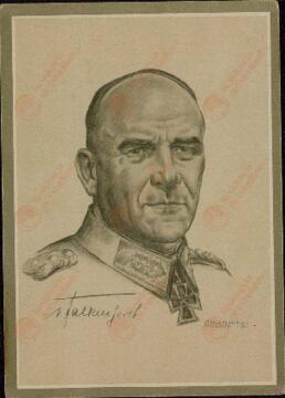 Falkenhorst, Nikolaus von