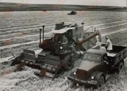Cultivo de Maíz en los campos de la Granja Colectiva Karl Marx, en la República Soviética de Moldavia, c. 1970