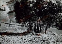 Fotografías en el norte de África