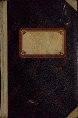 Diario de un Soldado