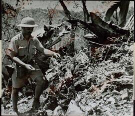 "Naufragios japoneses de aviones de guerra Nueva Guinea. La víctima de las fuerzas norteamericanas de Nueva Guinea"