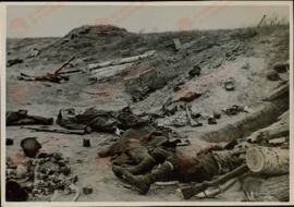 Frente ruso. Sudoeste de Stalingrado